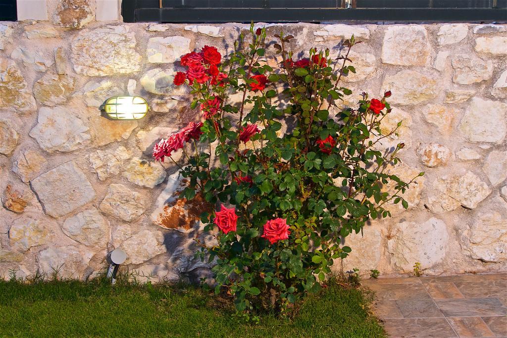 Superb Villa With Private Pool Peaceful Location Sami  Exteriér fotografie